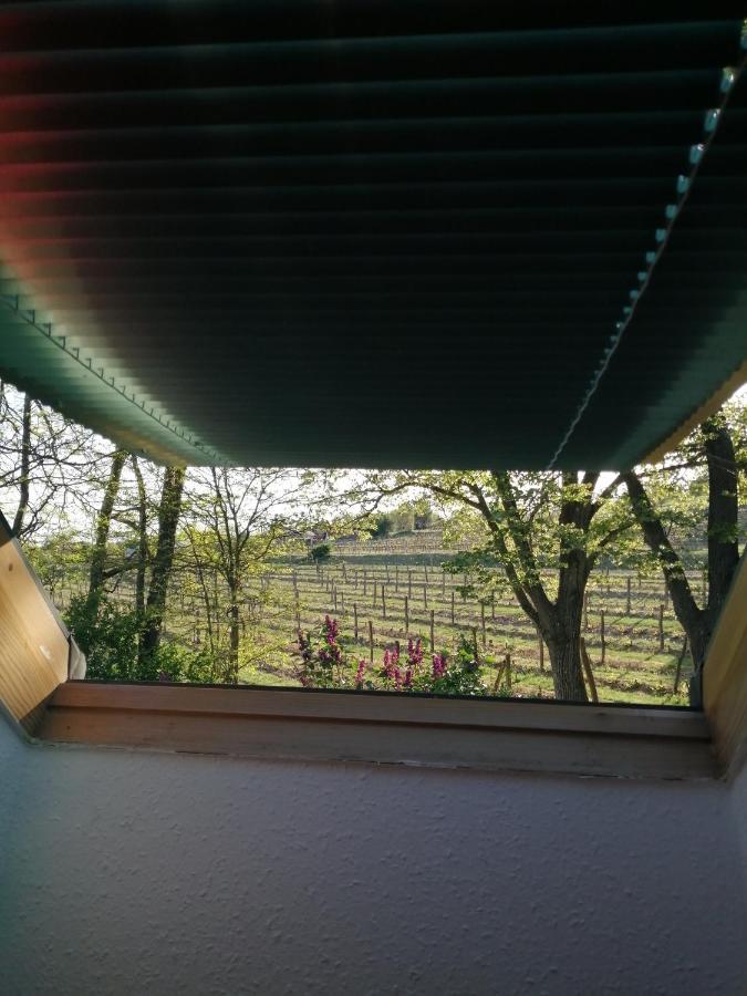 צ'רסגטומאי Pilikan Apartments - Park, Agroturism, Vineyard & Farm מראה חיצוני תמונה