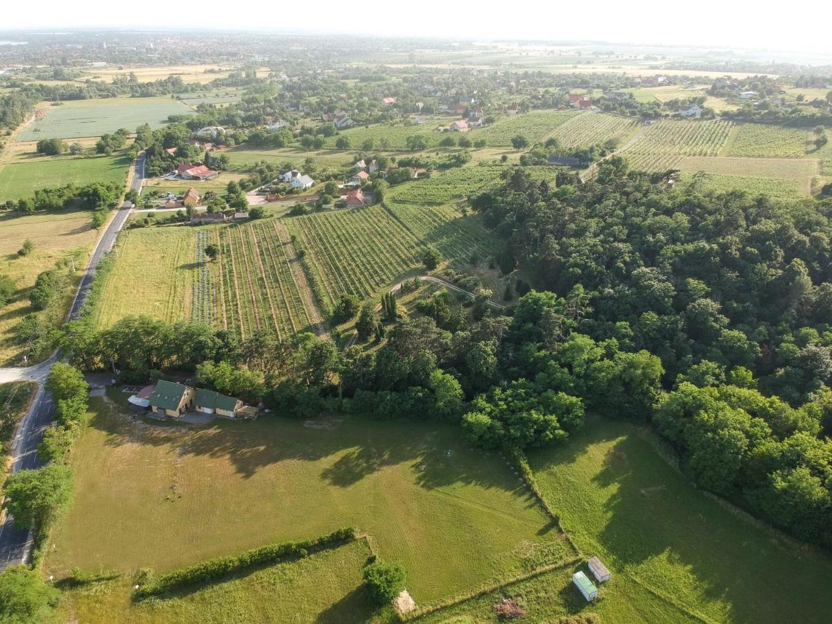 צ'רסגטומאי Pilikan Apartments - Park, Agroturism, Vineyard & Farm מראה חיצוני תמונה