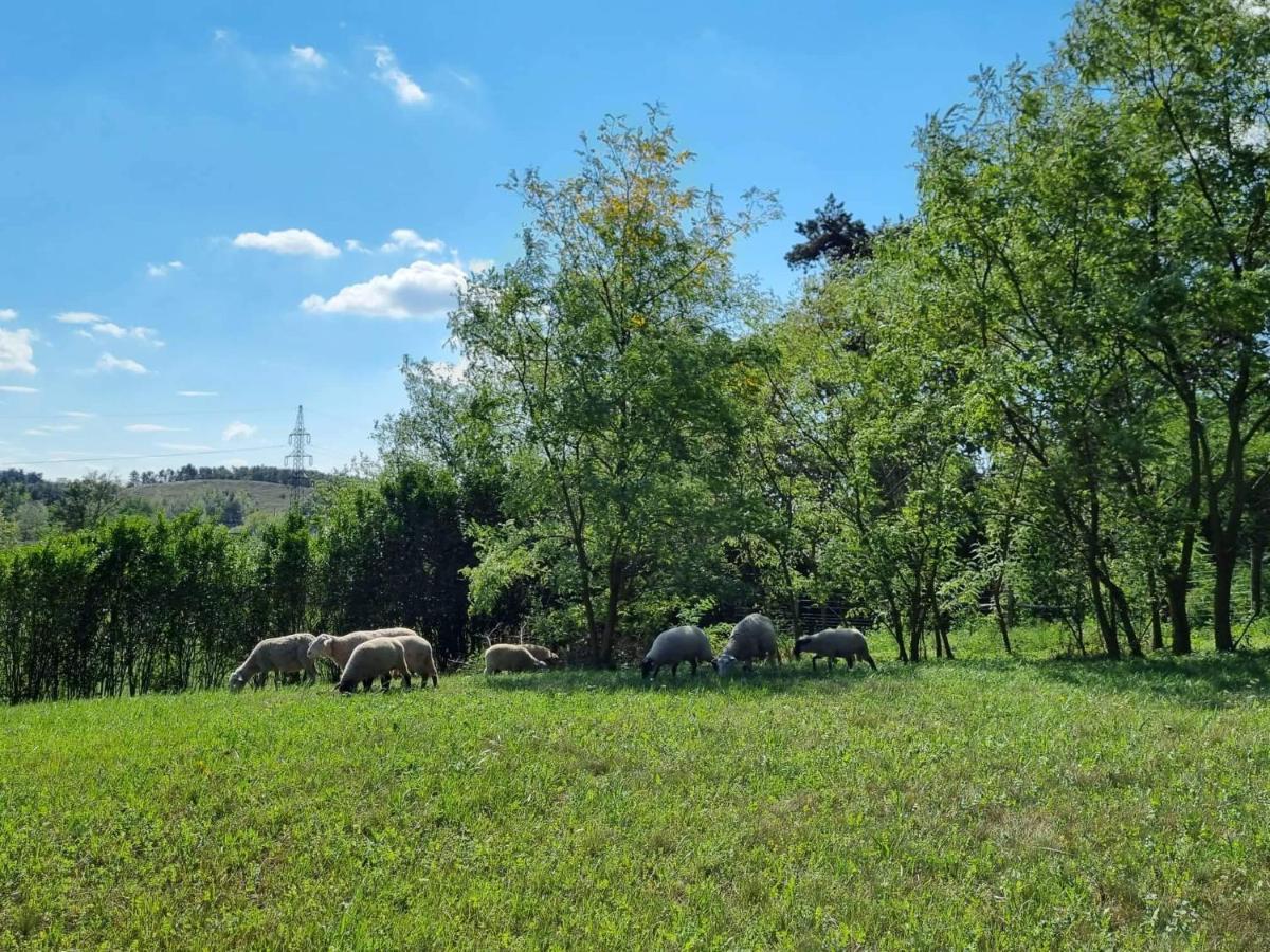 צ'רסגטומאי Pilikan Apartments - Park, Agroturism, Vineyard & Farm מראה חיצוני תמונה